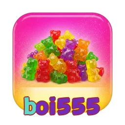 boi555